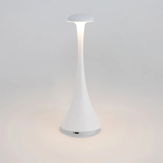 Oplaadbare Dimbare Tafellamp – Draadloze Aluminium en Acryl Lamp voor Slaapkamer en Kantoor, Warm Wit Licht