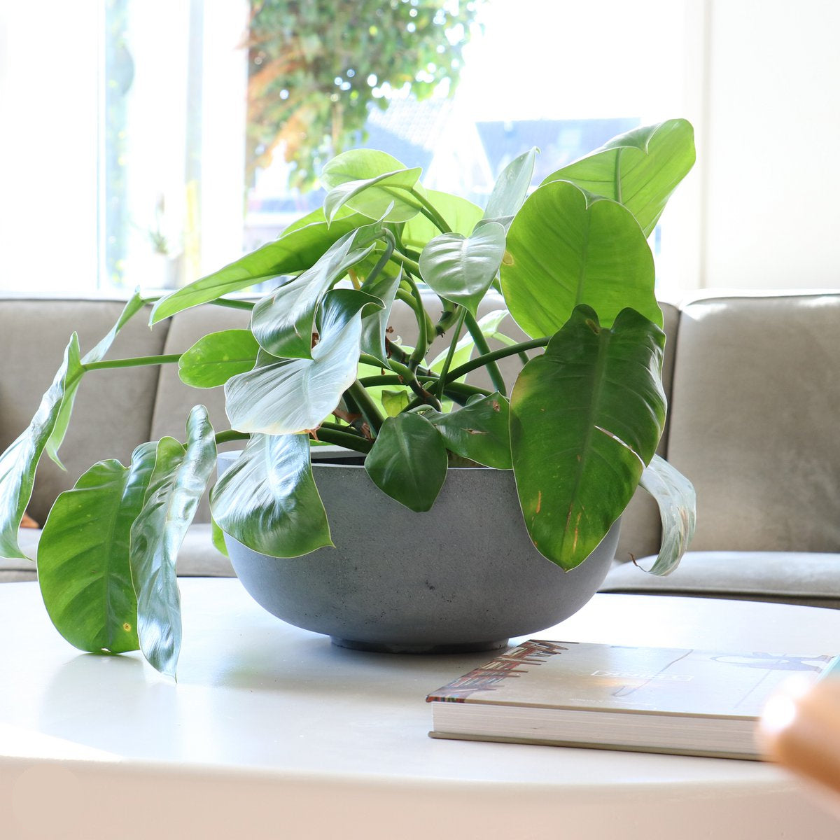 Ducos S grey plantenpot set van 2 UV- & vorstbestendig handgemaakt lichtgewicht polyester Ø33 x H35 cm grijs
