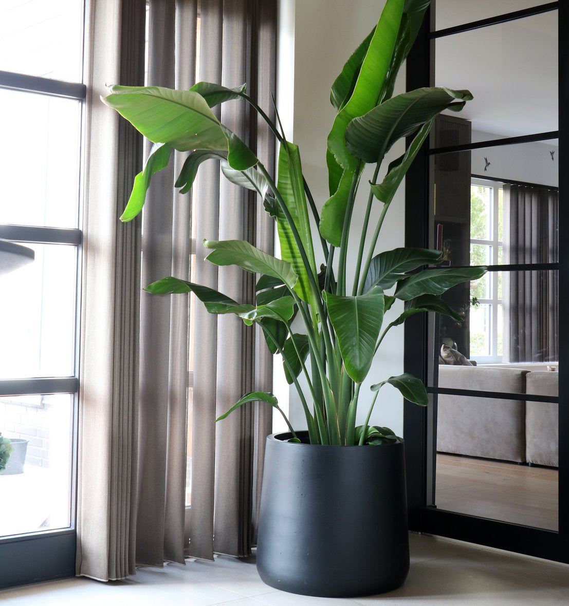 Portland Black plantenpotten Ø42 x H40cm & Ø55 x H50cm fiberstone zwart geschikt binnen buiten Vase The World